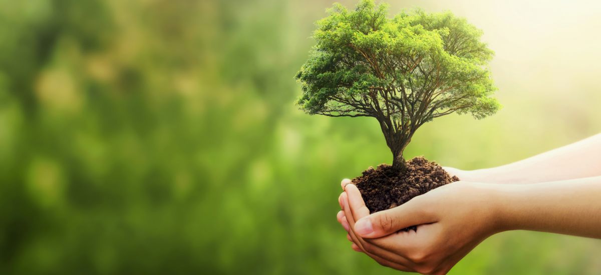 Estudo de Impacto Ambiental