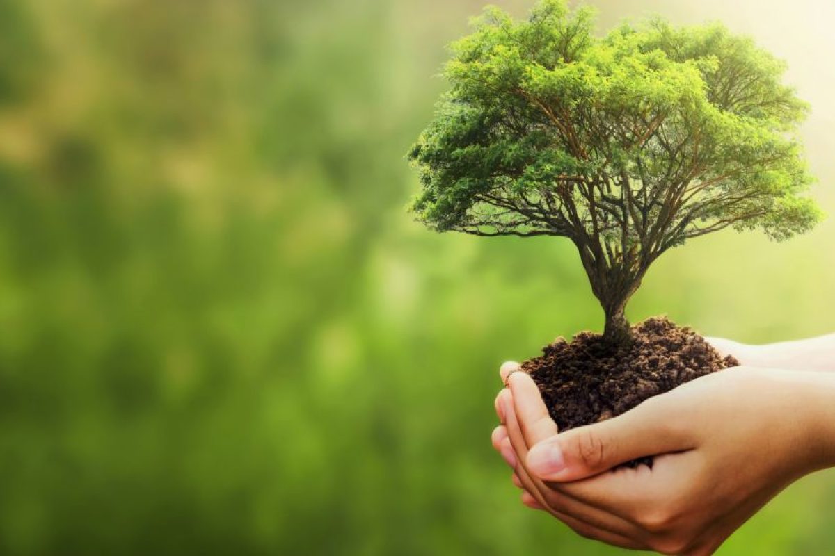 Estudo de Impacto Ambiental