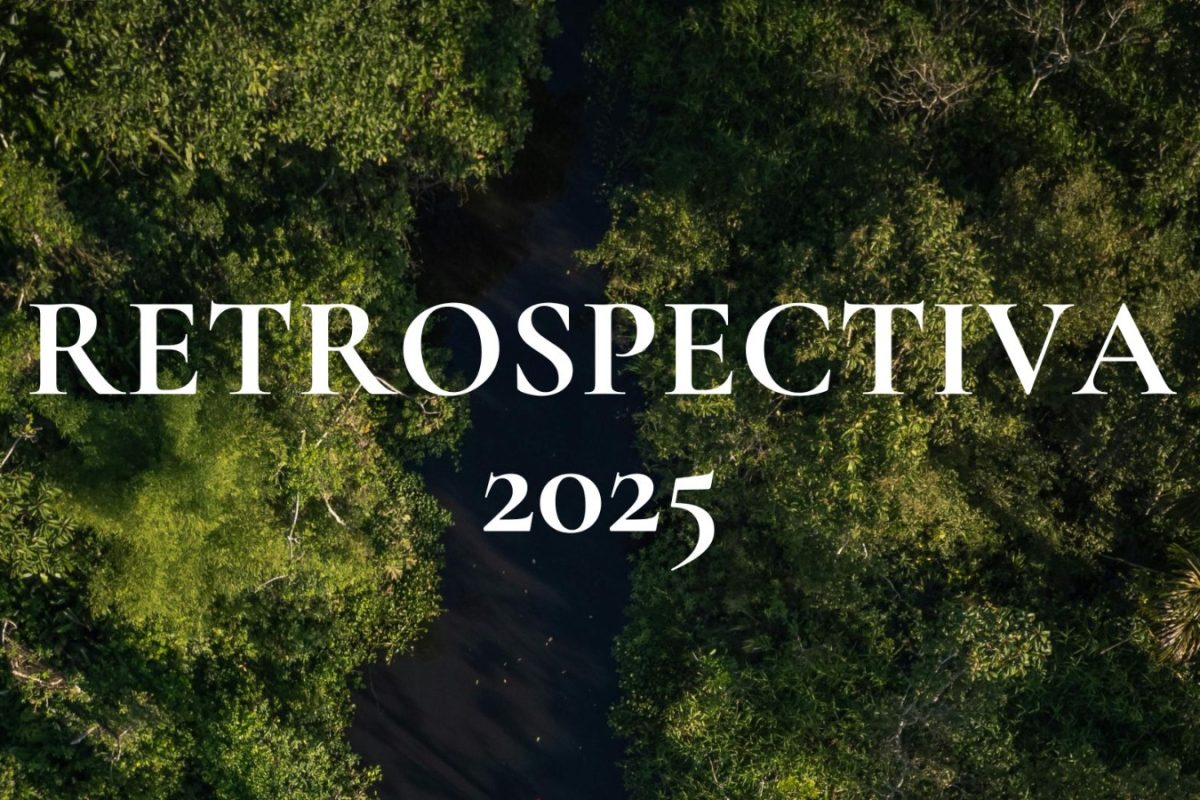 retrospectiva 2025